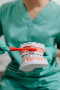 An image of a person showing how to brush teeth