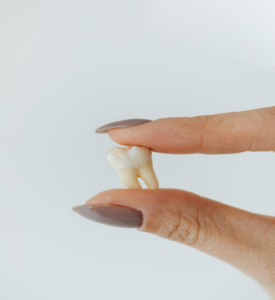 a close-up shot of a white tooth held in between a finger and thumb