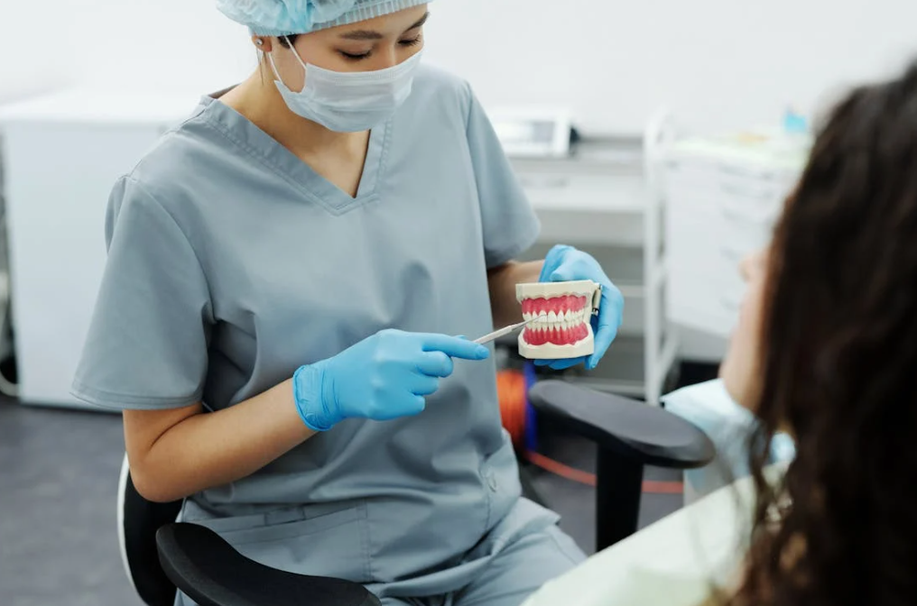 dentist wearing blue gloves holding a teeth model